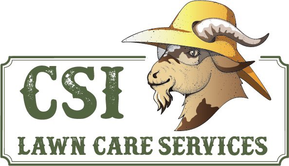 CSI Lawn Care Services