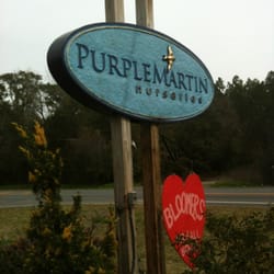 Purple Martin Nurseries Gardening 1554 Crawfordville Photo Of Purple Martin Nurseries Crawfordville Fl United States
