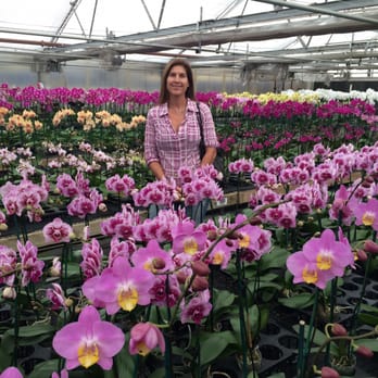Orchid Nurseries Thenurseries Orchid Nurseries Thenurseries