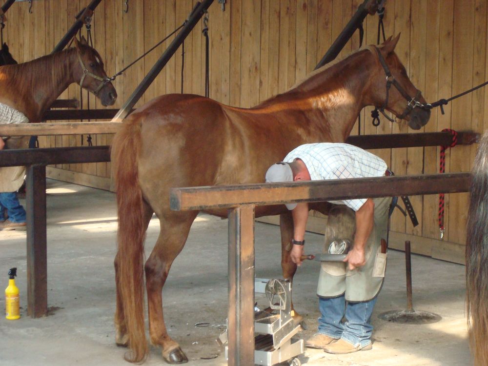 Kerr Horse Farrier 2nd Generation Image