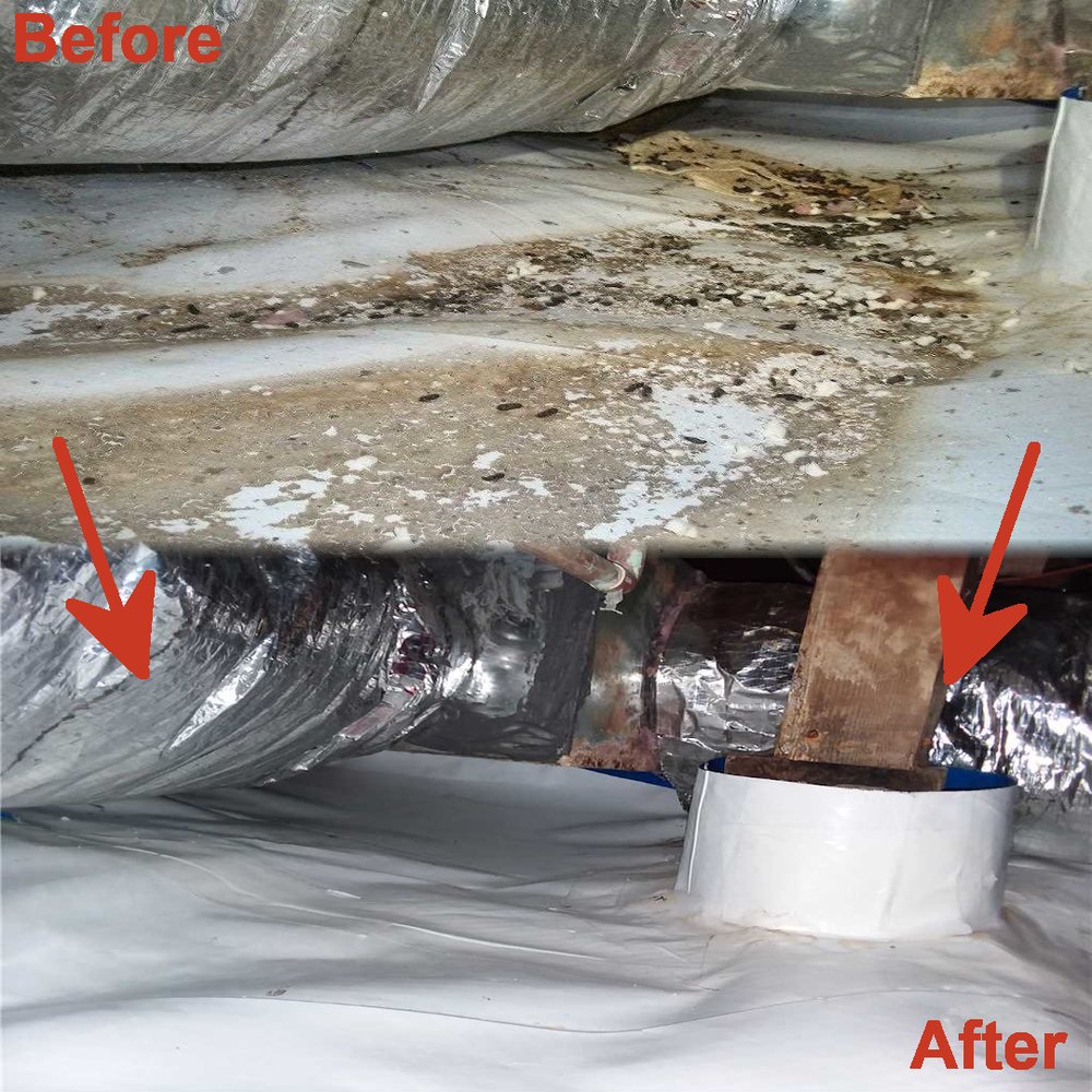 Restoration Certified Specialists