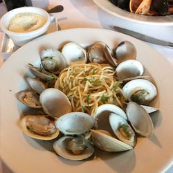 Fortunato S 90 Photos 69 Reviews Italian 428 Main St Woburn Fortunato S 90 Photos 69 Reviews Italian 428 Main St Woburn Ma Restaurant Phone Number Yelp