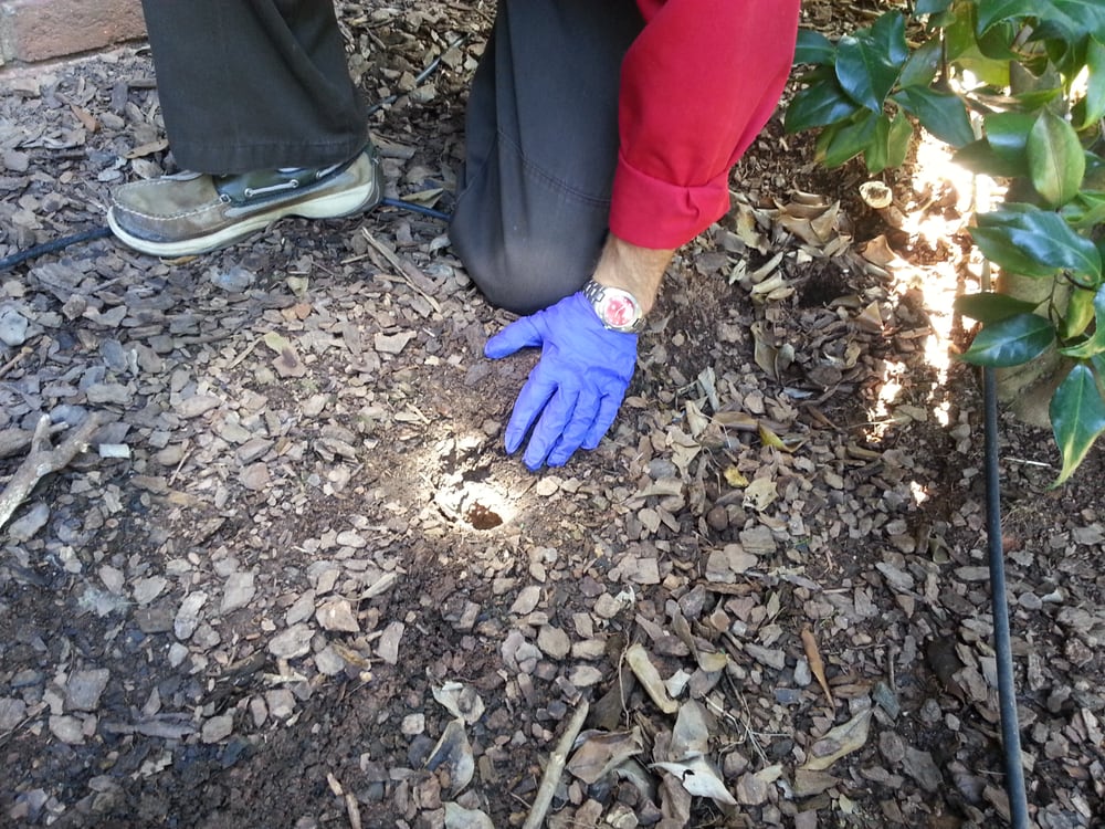 Lake Norman Pest Control