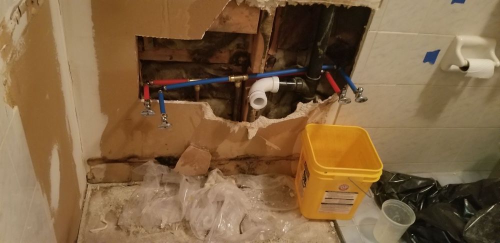 Whales Plumbing & Excavation