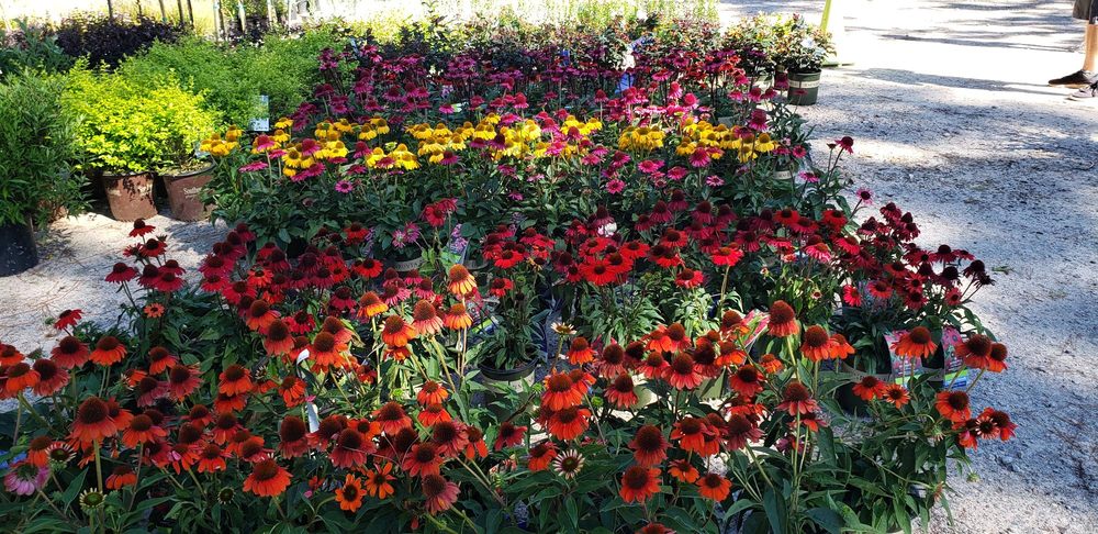 Homewood Nursery & Garden Center