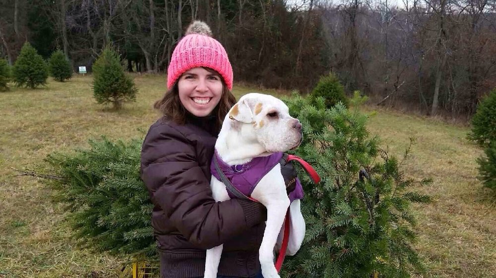 photos for middleburg christmas tree farm yelp photos for middleburg christmas tree farm yelp