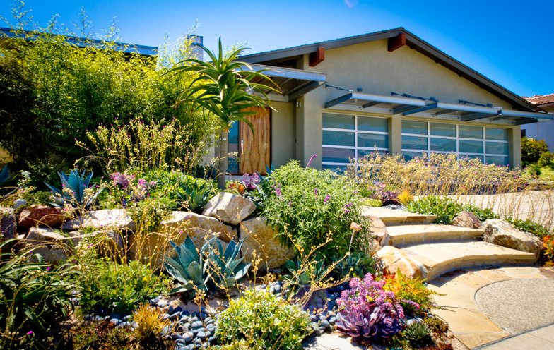 Texas Lawn Care