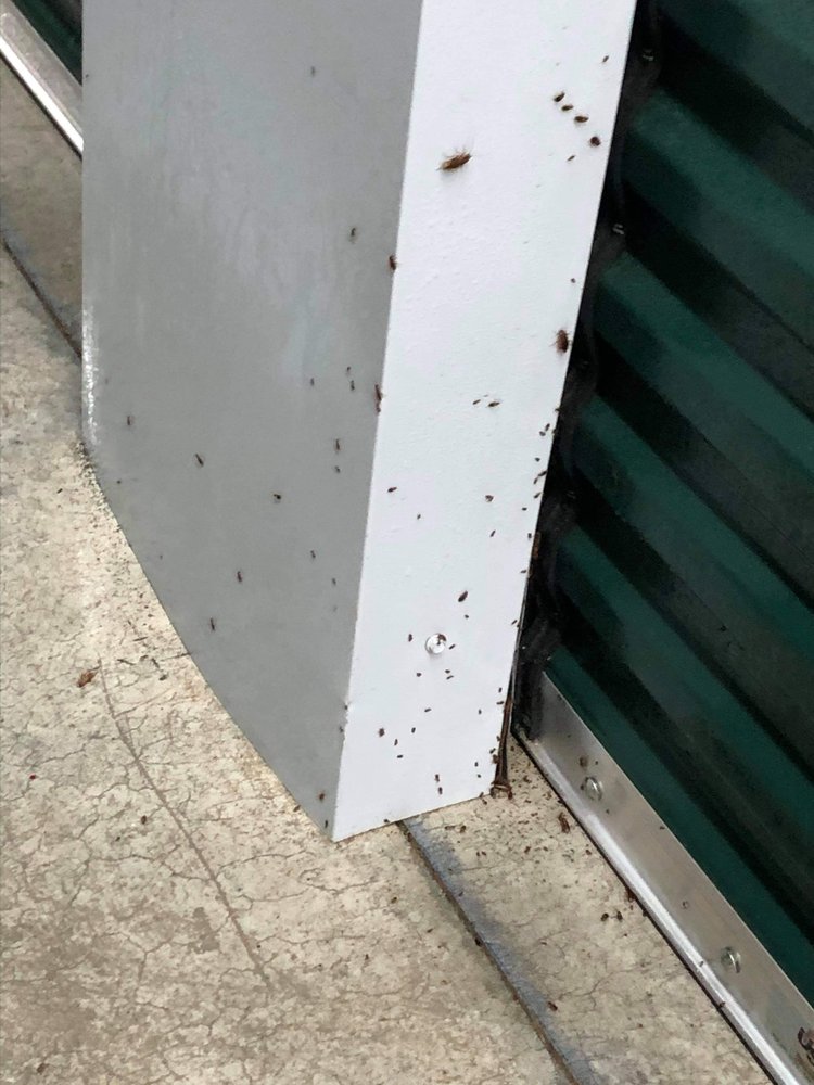 SecurCare Self Storage