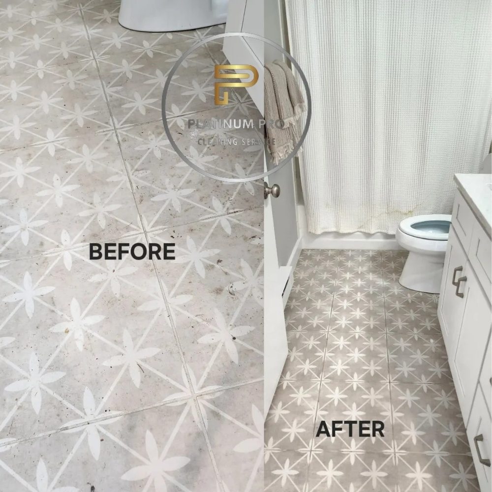 Platinum  Pro  Cleaning  Service