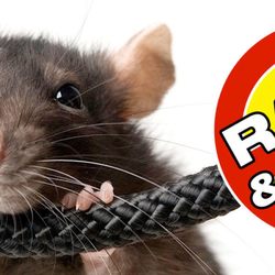 Anderson Pest Control 575 Valley St Colorado Photo Of Anderson Pest Control Colorado Springs Co United States