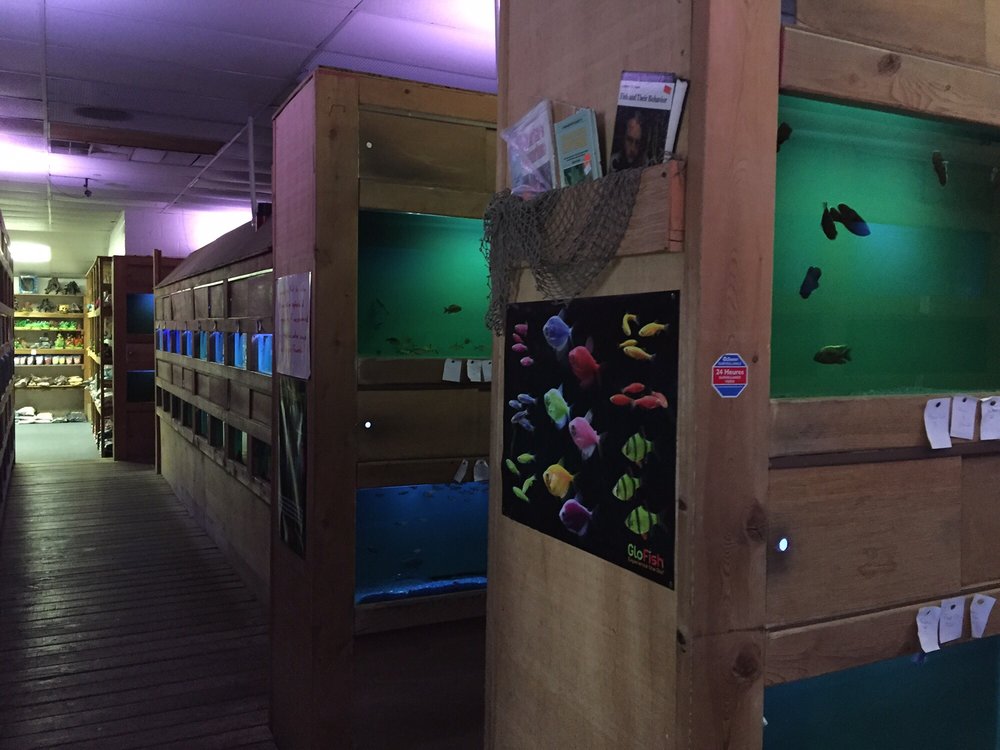 Ocean Aquarium Aquarium Services 6820 Black Horse Pike, Egg Harbor