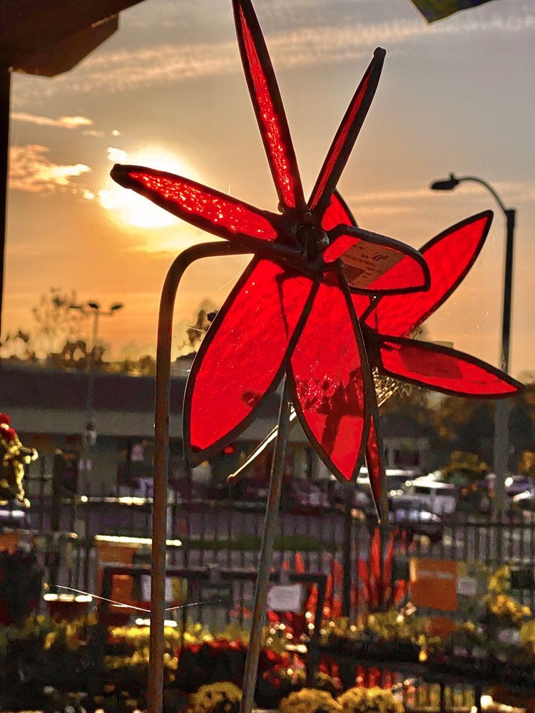 Armstrong Garden Centers