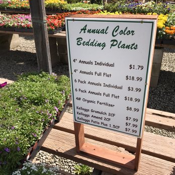 Village Nurseries 26 Photos 25 Reviews Gardening Photo Of Village Nurseries Sacramento Ca United States Prices Have Gone Up
