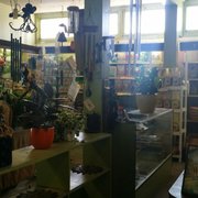 Bellefontaine Nursery 80 Photos 56 Reviews Nurseries Photo Of Bellefontaine Nursery Pasadena Ca United States