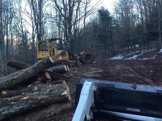 Ed Beach Forest Management