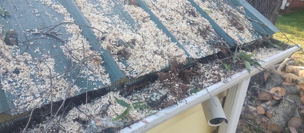 Pacheco's Lawn Care and Tree Service