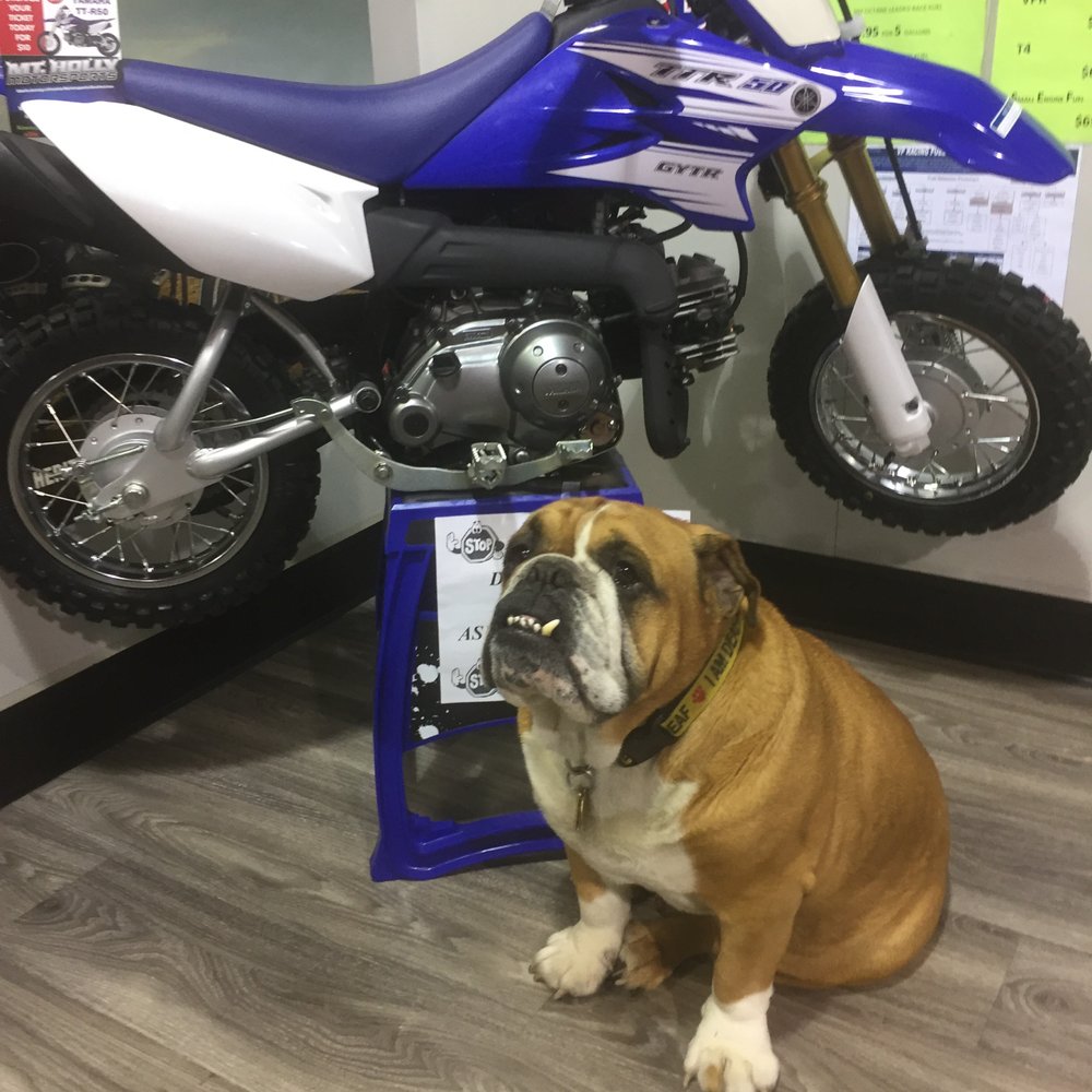 Mt Holly Motorsports 13 Photos Motorcycle Dealers 2044 Rt 206