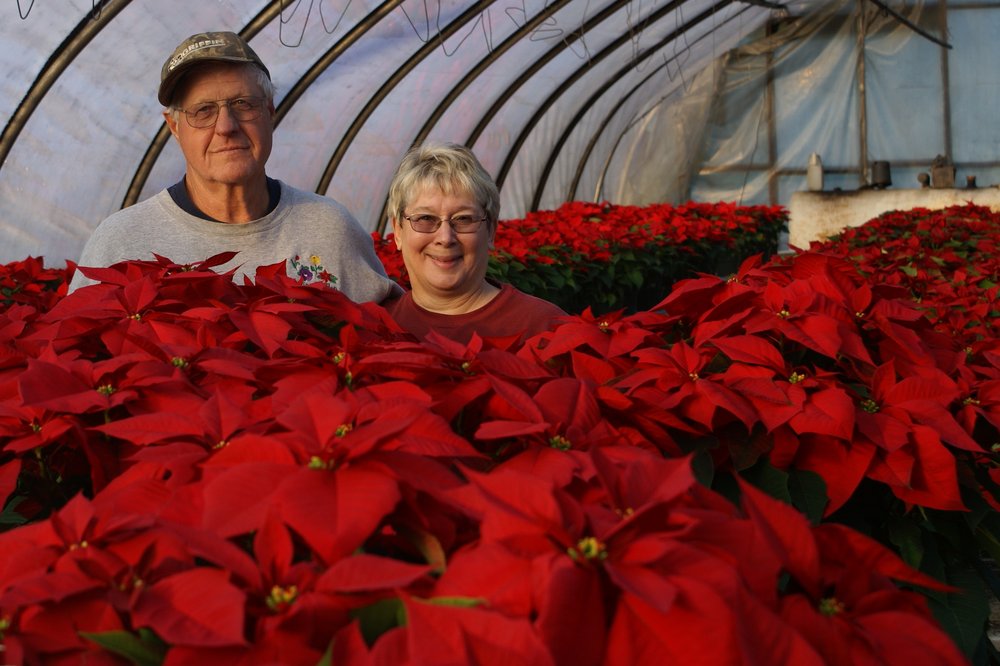 Spring Garden Farms 2019 All You Need To Know Before Go With