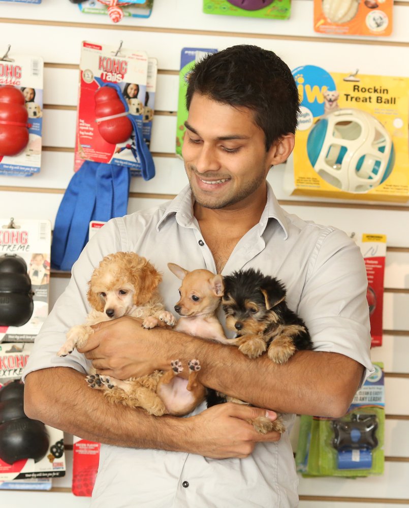 Central Park Puppies 68 Photos & 19 Reviews Pet Stores 650