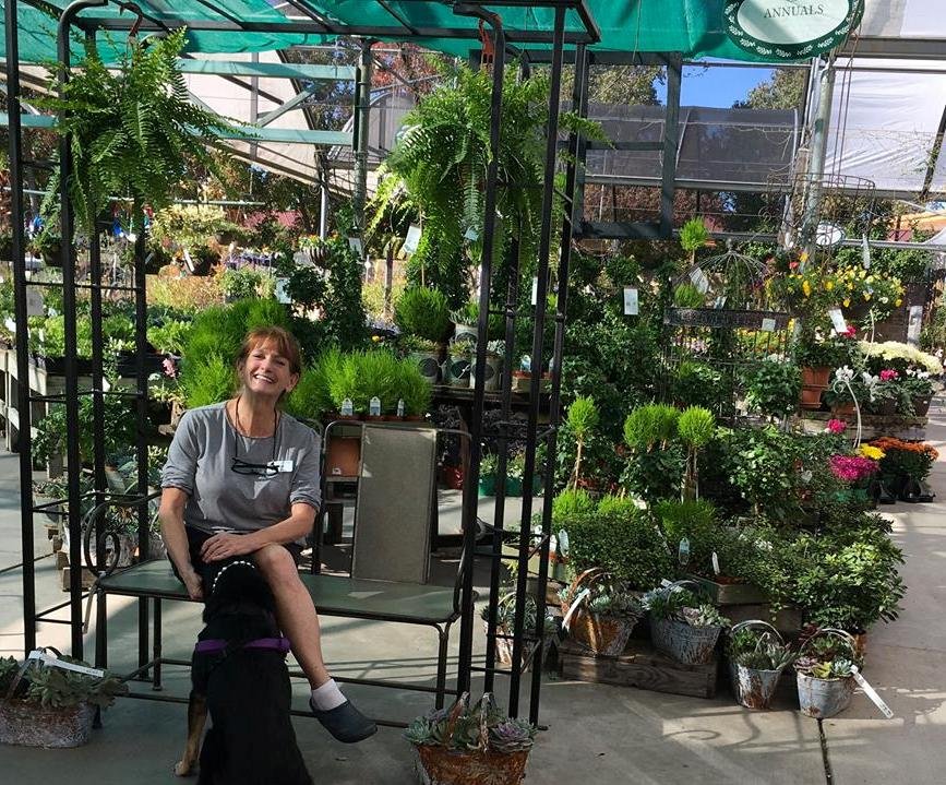 Fair Oaks Boulevard Nursery 88 Photos & 47 Reviews Nurseries & Gardening 4681 Fair Oaks