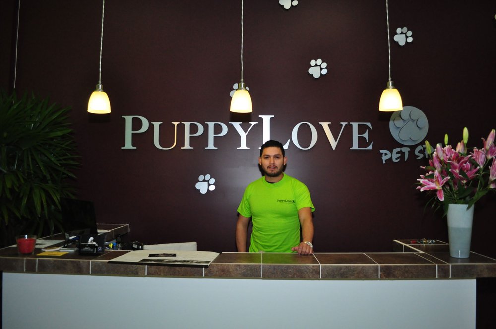 Puppy Love Pet Spa 173 Photos & 204 Reviews Pet Groomers 1608