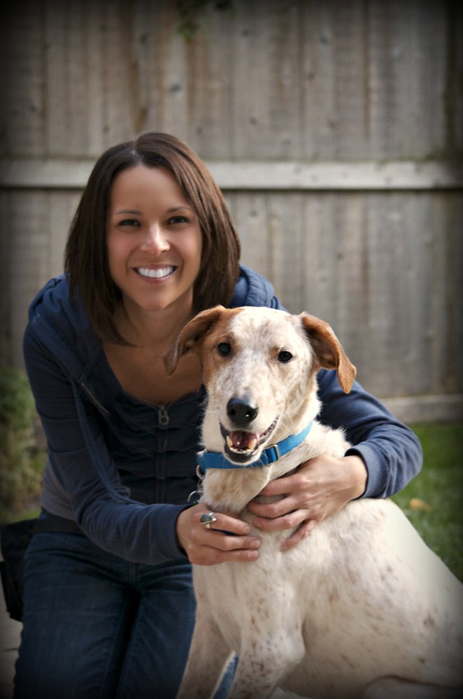 pawsome dogs 25 photos 43 reviews pet training doggie works chicago