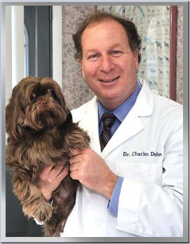 essex animal hospital bloomfield nj hours essex animal hospital bloomfield nj hours
