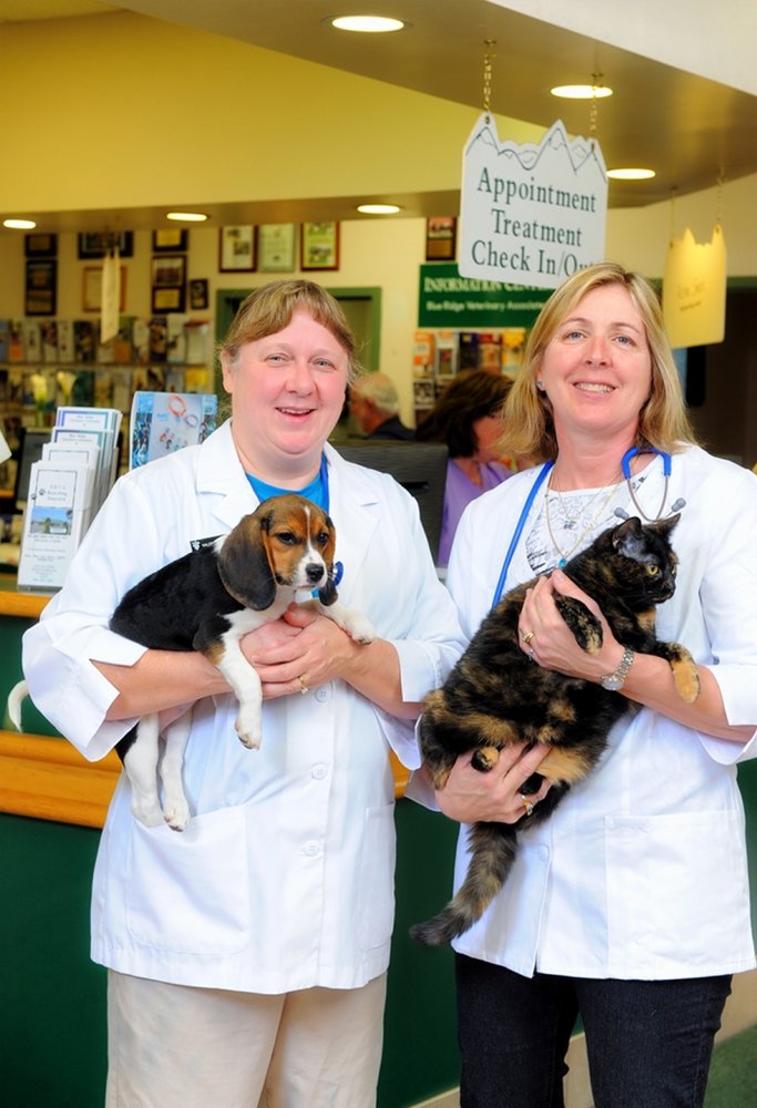 Blue Ridge Veterinary Associates 49 Reviews Veterinarians 120 E