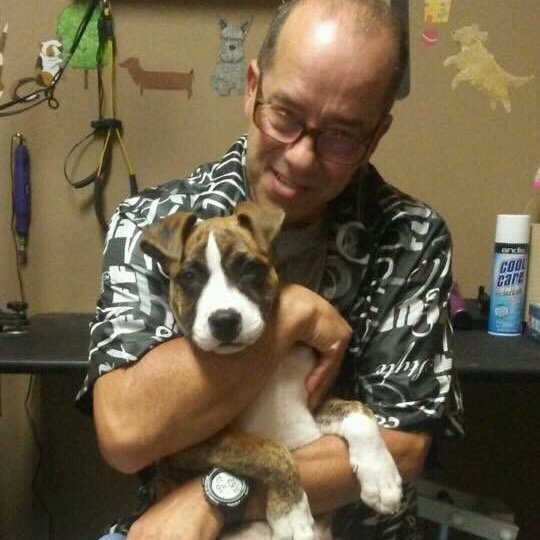 Dog Grooming Casa Grande Az Dog Grooming Casa Grande Az
