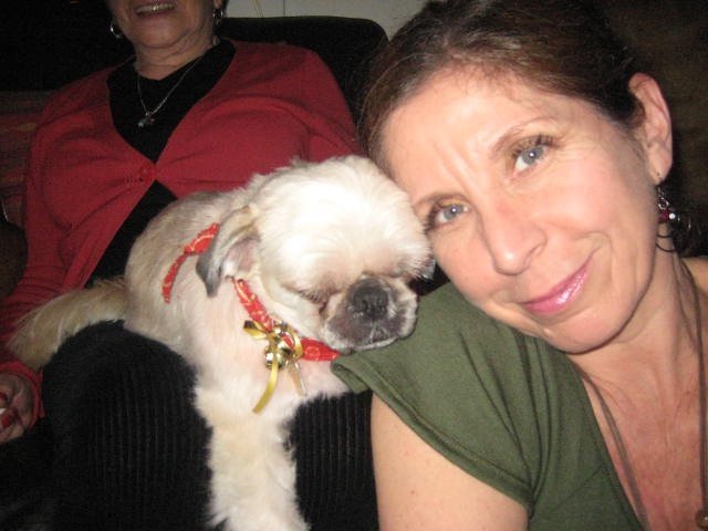 Central Bark Dog And Pet Grooming Specialists Central Bark Dog And Pet Grooming Specialists