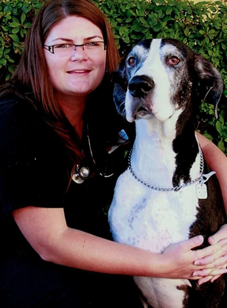 South Temecula Veterinary Hospital 30 Photos & 173 Reviews