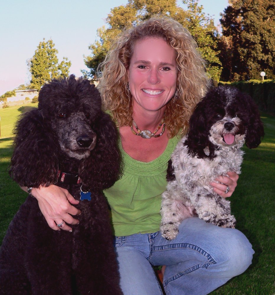 Image result for poodle dog owner