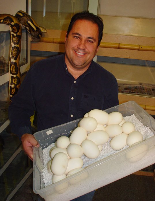 The Reptile Zoo 446 Photos & 212 Reviews Zoos 18822 Brookhurst St, Fountain Valley, CA