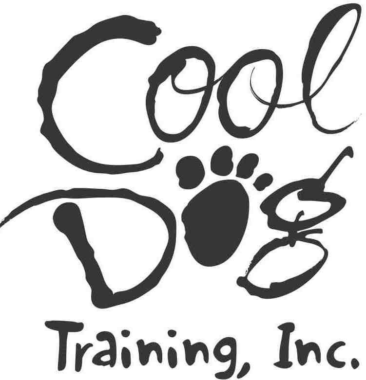 temecula puppies 4 less temecula ca frances a s reviews temecula yelp temecula puppies 4 less temecula ca frances a s reviews temecula yelp