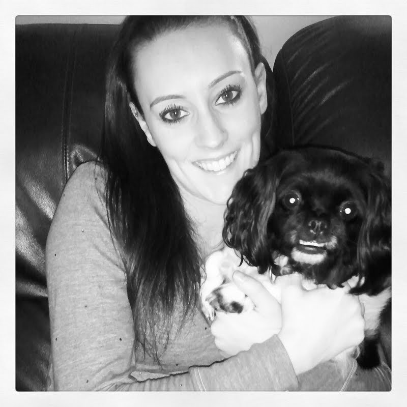 Grooming At Tiffany’s 23 Photos & 12 Reviews Pet Groomers 127 Rockingham Rd, Derry, NH