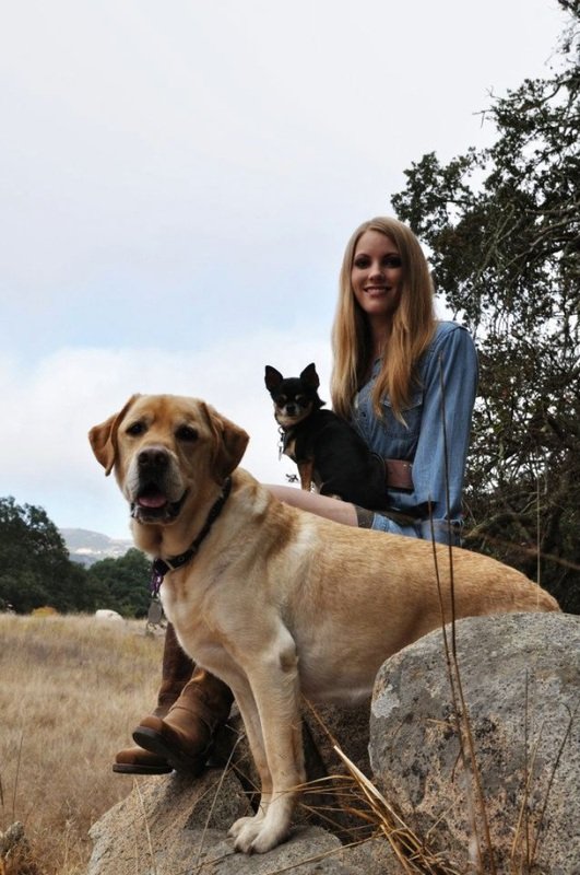 Pawsitive Choice Dog Training Pawsitive Choice Dog Training