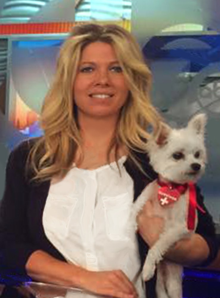 Dog Training Shelby Township Mi Dog Training Shelby Township Mi