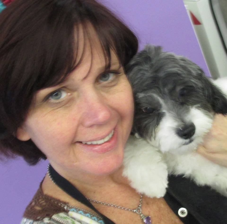 The Dog House 12 Photos Pet Groomers 451 Nathan Ellis Hwy