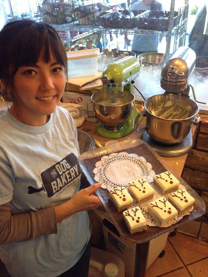 The Dog Bakery 649 Photos & 338 Reviews Pet Stores 36 W Colorado