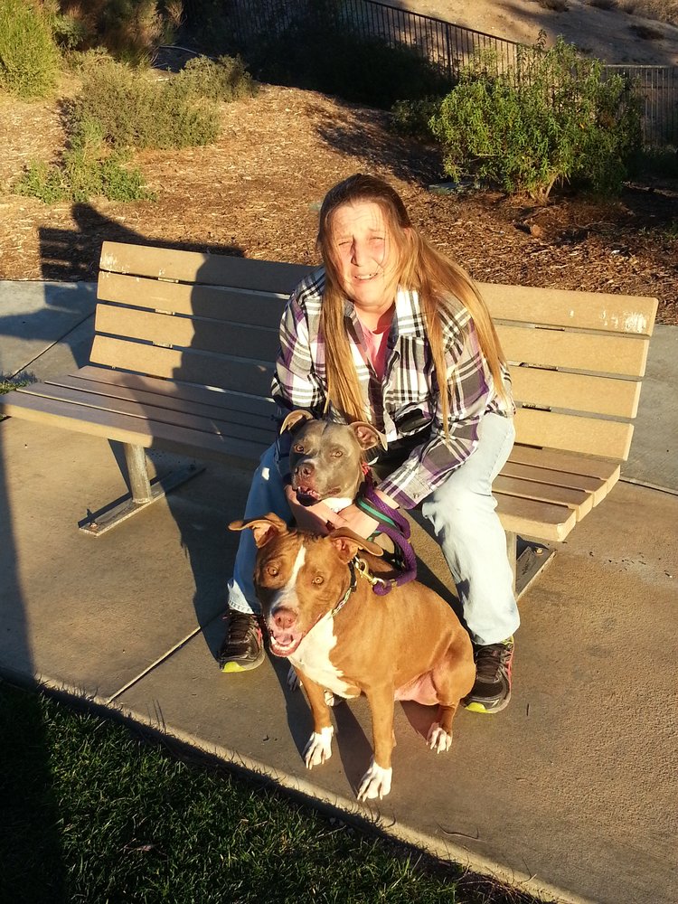 Lisa S Lucky Dogs Pet Sitting Lisa S Lucky Dogs Pet Sitting