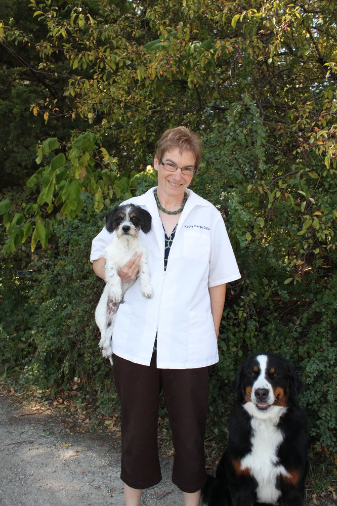 Jett And Monkey S Dog Shoppe Des Moines Ia Jett And Monkey S Dog Shoppe Des Moines Ia