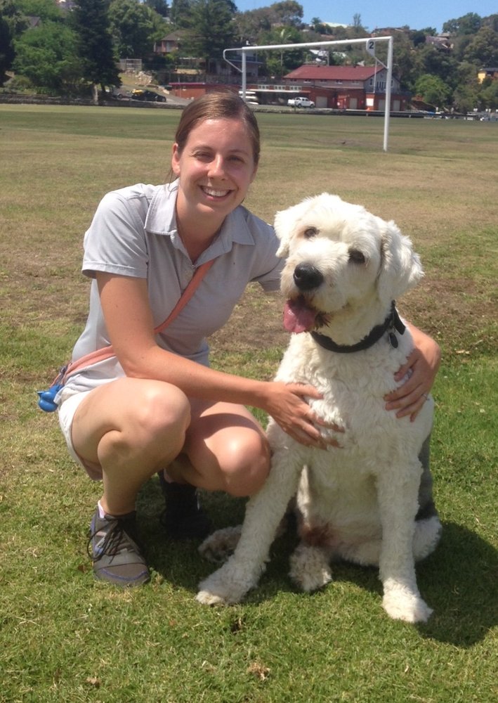 Starting A Dog Walking Business Australia Starting A Dog Walking Business Australia