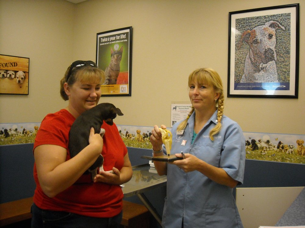 Shiloh Veterinary Hospital 27 Photos Veterinarians 345 Shiloh Rd