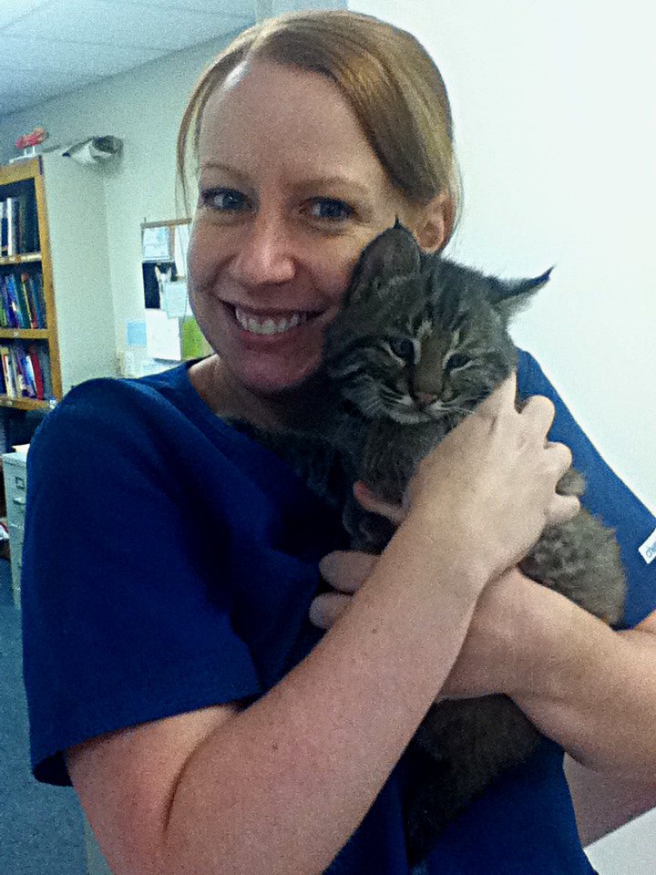 River Valley Veterinary Hospital Veterinarians 88 Sodom Ln, Derby