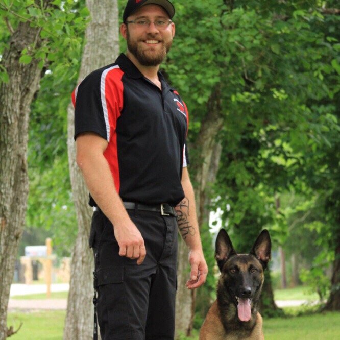 Service Dog Training Katy Tx Service Dog Training Katy Tx