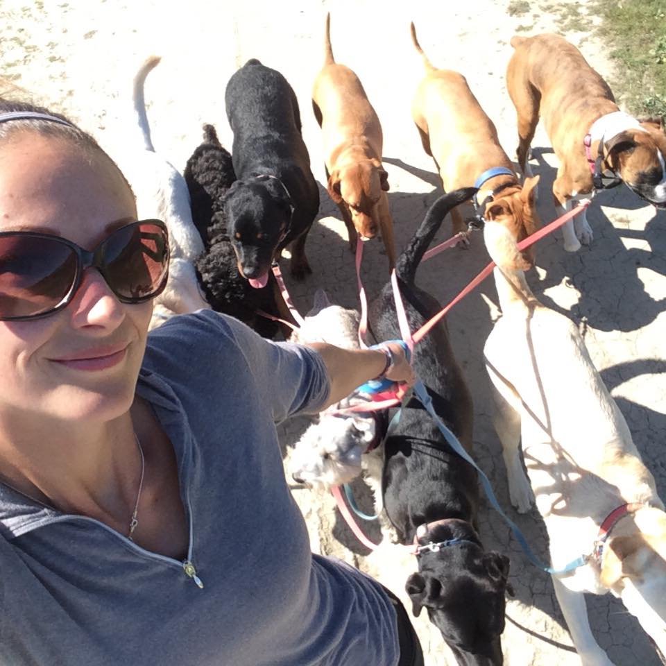 Penn Foster Dog Training Reviews Penn Foster Dog Training Reviews