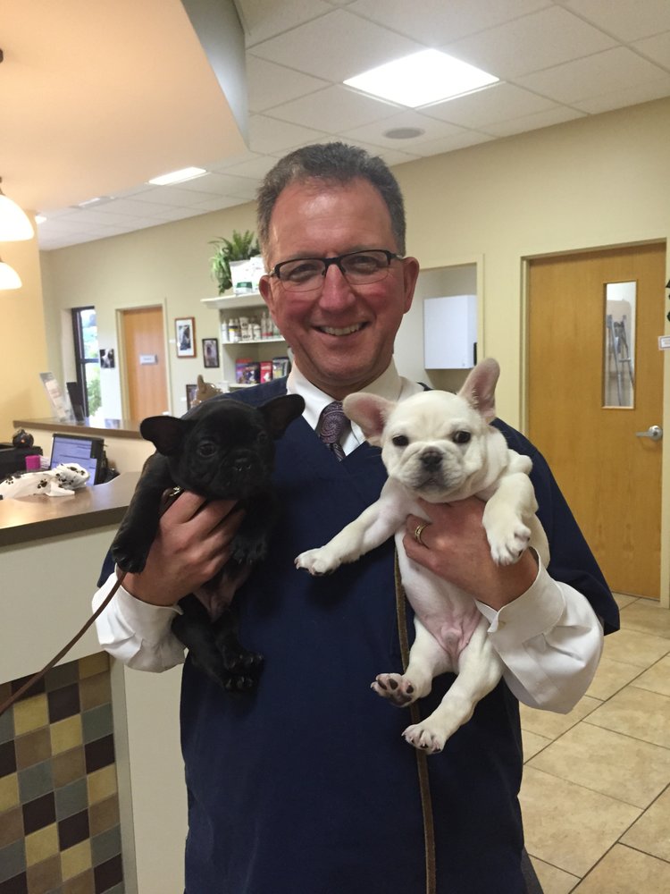 Family Friends Veterinary Hospital 19 Reviews Veterinarians 6555