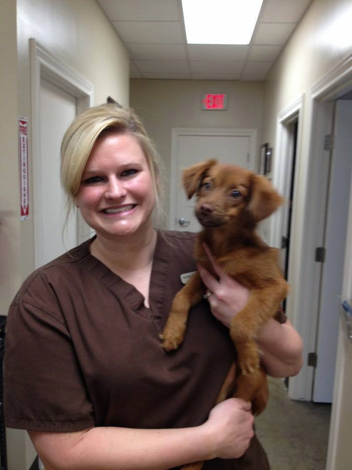 Cibolo Small Animal Hospital 50 Photos & 19 Reviews Veterinarians