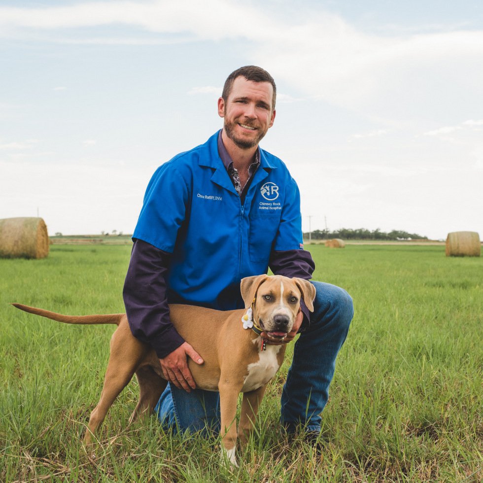 Round Rock Animal Hospital / About Firehouse Animal Health Center Round Rock Round