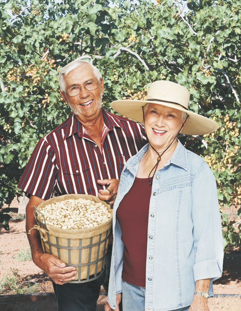 Heart of The Desert Pistachios & Wine 58 Photos & 21 Reviews